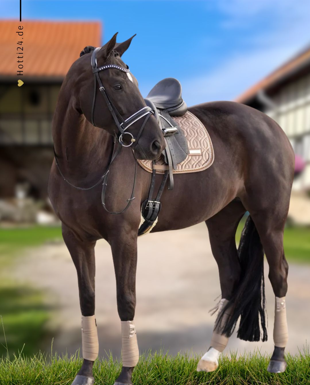IMPERIAL RIDING »Wickelbandagen IRHLovely 4er Set Cappuccino