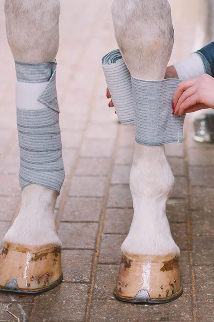incrediwear equine »pferde wickelbandagen 2er set Artikelnummer ess-12-002 in Grau. Mindert das Risiko von Verletzungen, körpereigene Bekämpfung von Entzündungen, verbesserter Nährstoff- und Sauerstofftransport, verkürzte die Erholungs- und Regenerationszeiten, schnelleres Abklingen von Schwellungen & Prellungen. Erhältlich unter www.Hotti24.de