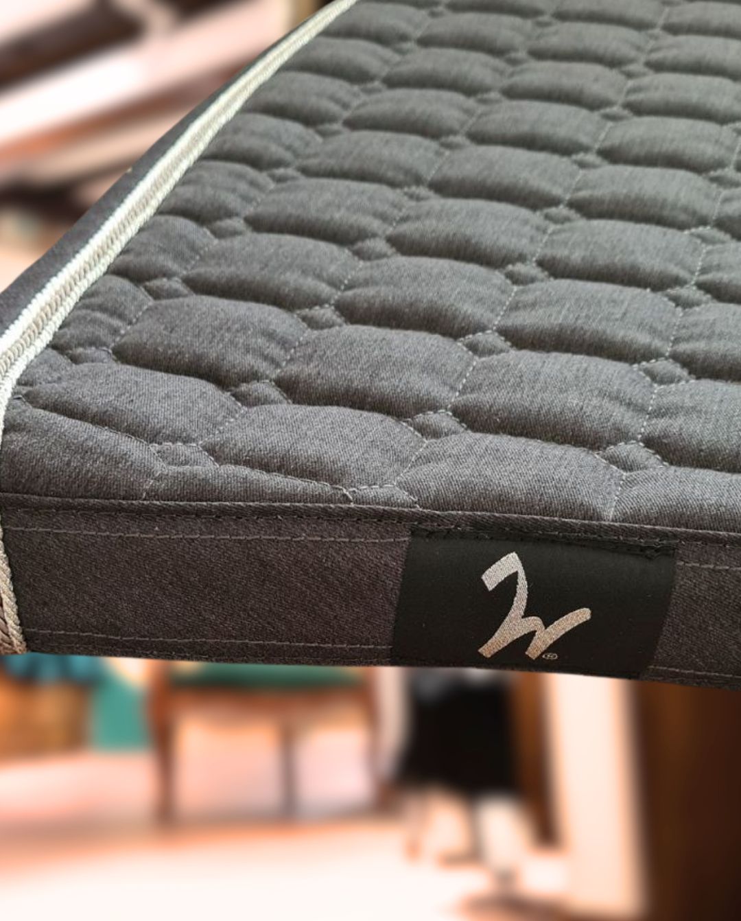 Isabell Werth »Dressurschabracke Gigolo Grey