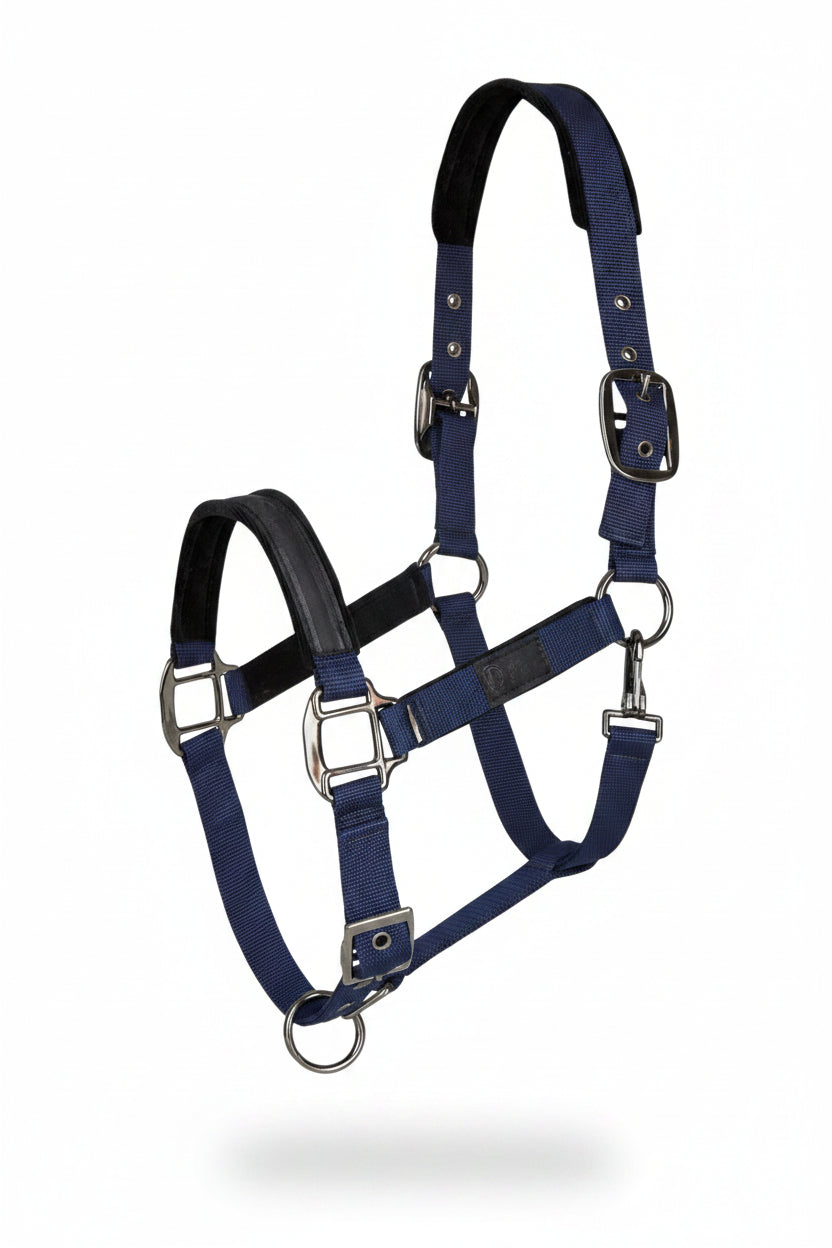 isabell-werth-tim-s-halfter-navy-4412702-kaufen-www.hotti24.de