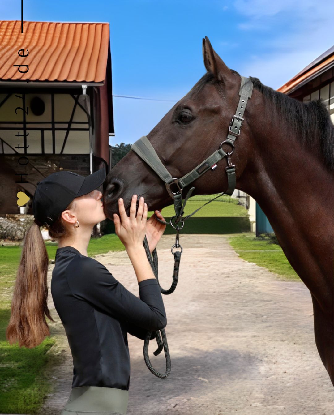 kingsland-halfter-klvigga-2430403771-6576-kaufen-www.hotti24.de