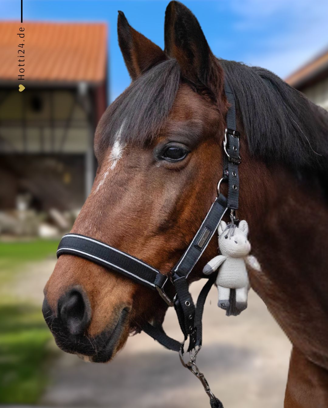 KINGSLAND »Halter & Lead Rope Set KLMona Black