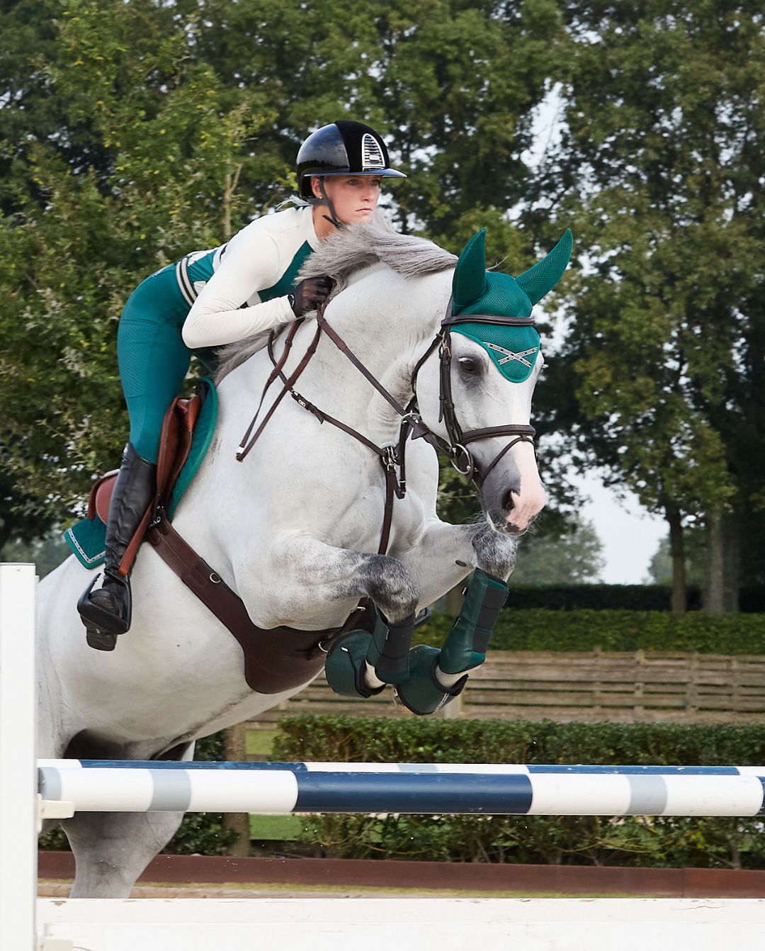 KINGSLAND »Hufglocken KLNora Green