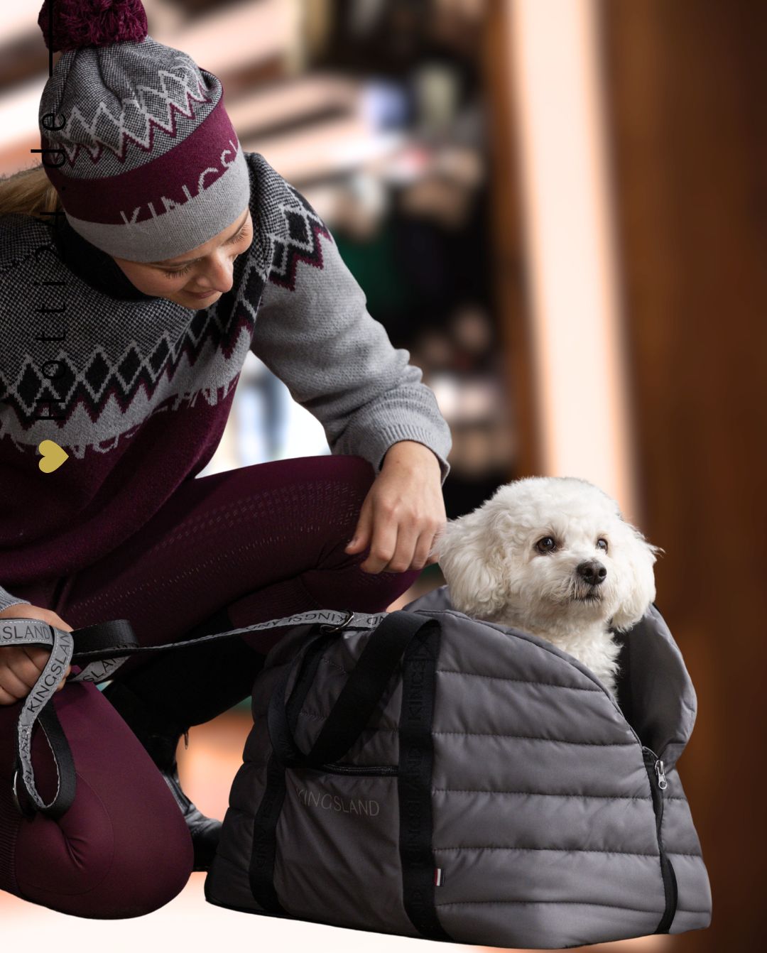 kingsland-hundetragetasche-grey-forged-iron-klmacey-31111-6551-kaufen-www.hotti24.de