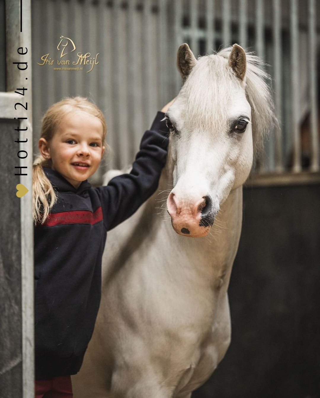 kingsland-kinder-hoodie-klpaxon-2230192618-6020-blau-kaufen-www.hotti24.de