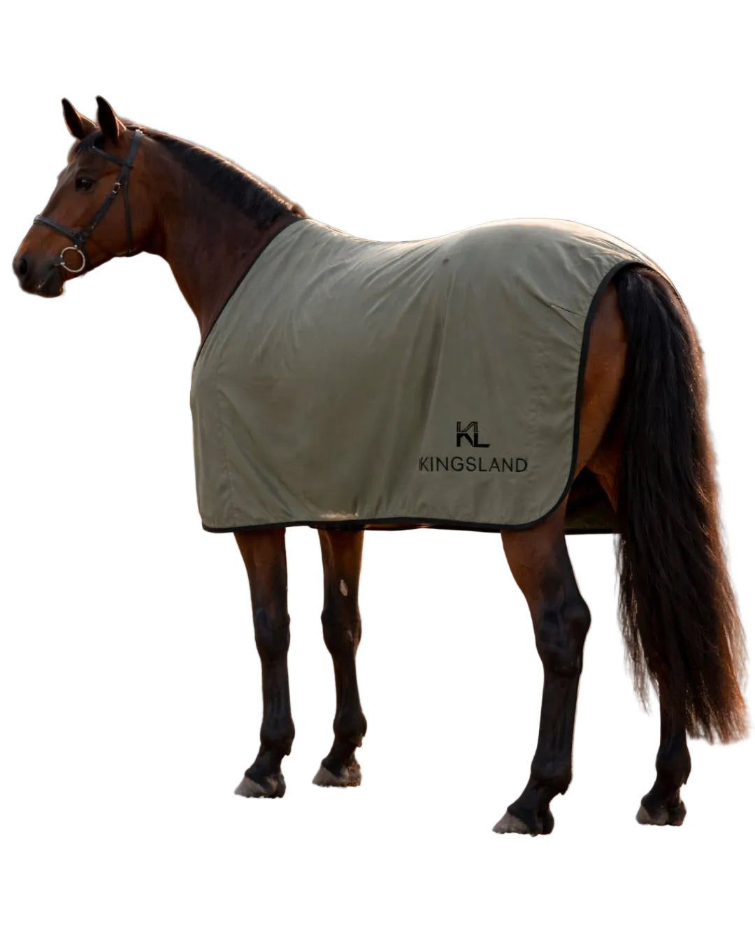 Kingsland "Cooler Rug KLVigga Green Beetle