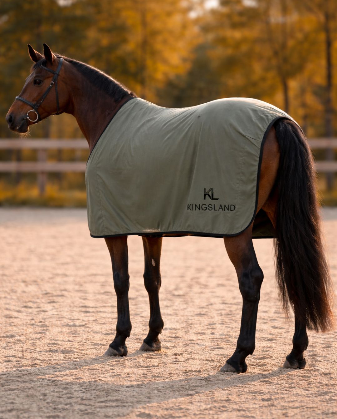 Kingsland "Cooler Rug KLVigga Green Beetle