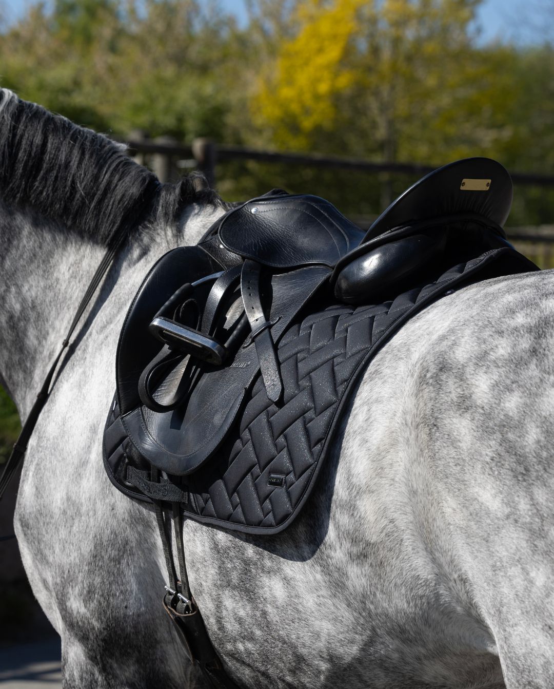 Kingsland »Dressurschabracke KLLexie Black