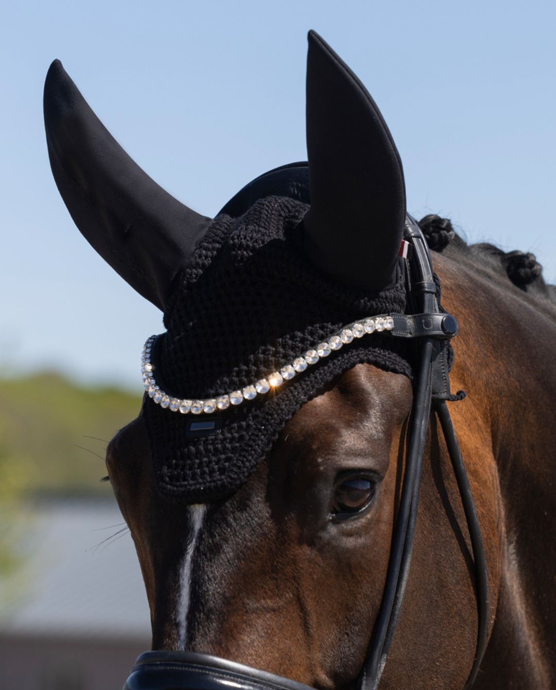 Kingsland »Fliegenhaube KLLexie Black