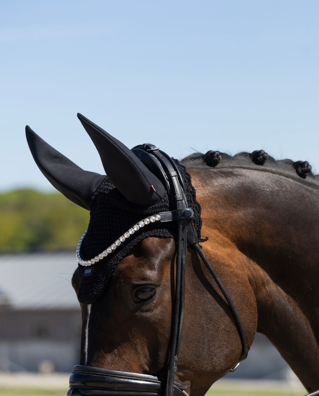 Kingsland »Fliegenhaube KLLexie Black