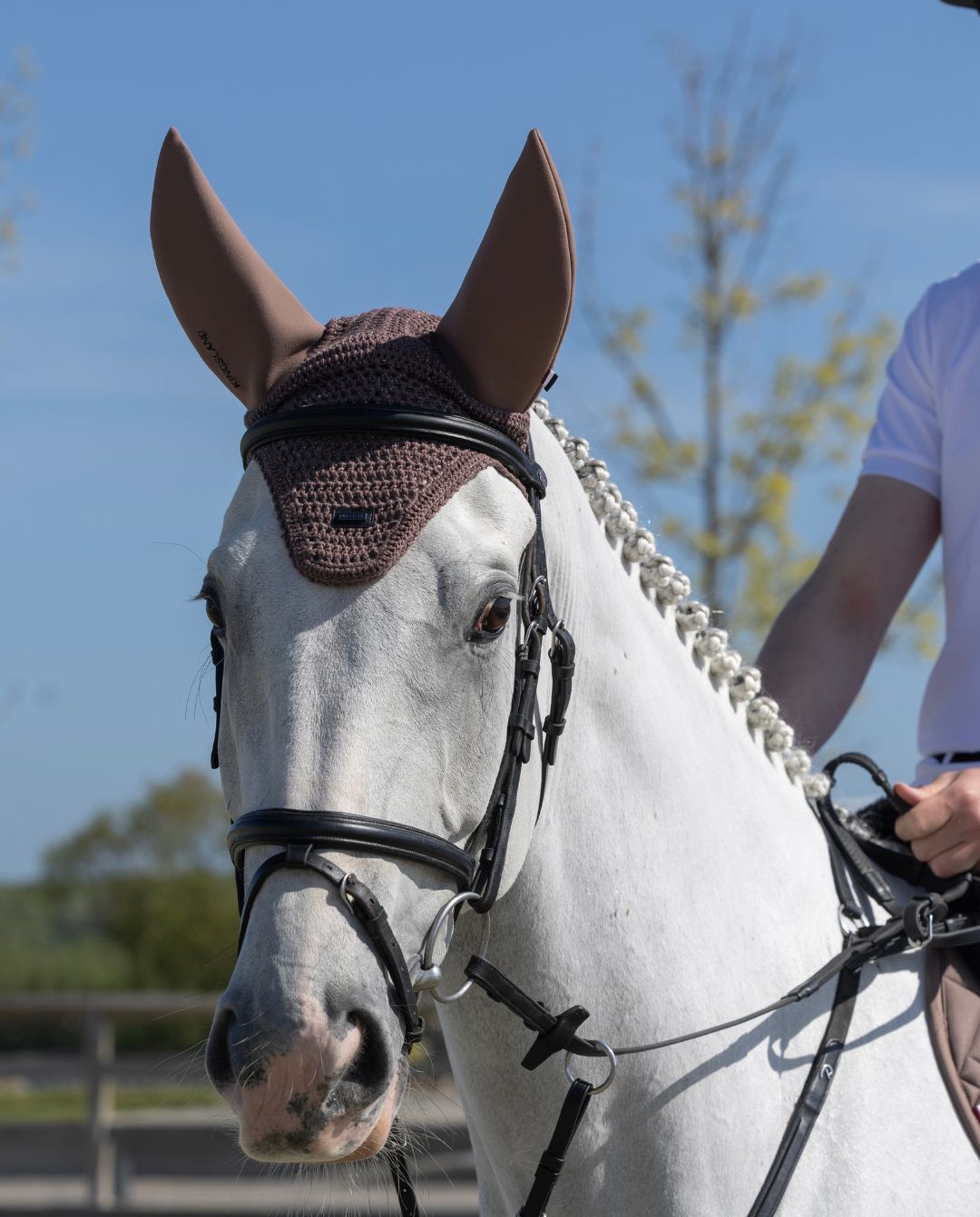 Kingsland "Fly Hood KLLexie Brown Iron