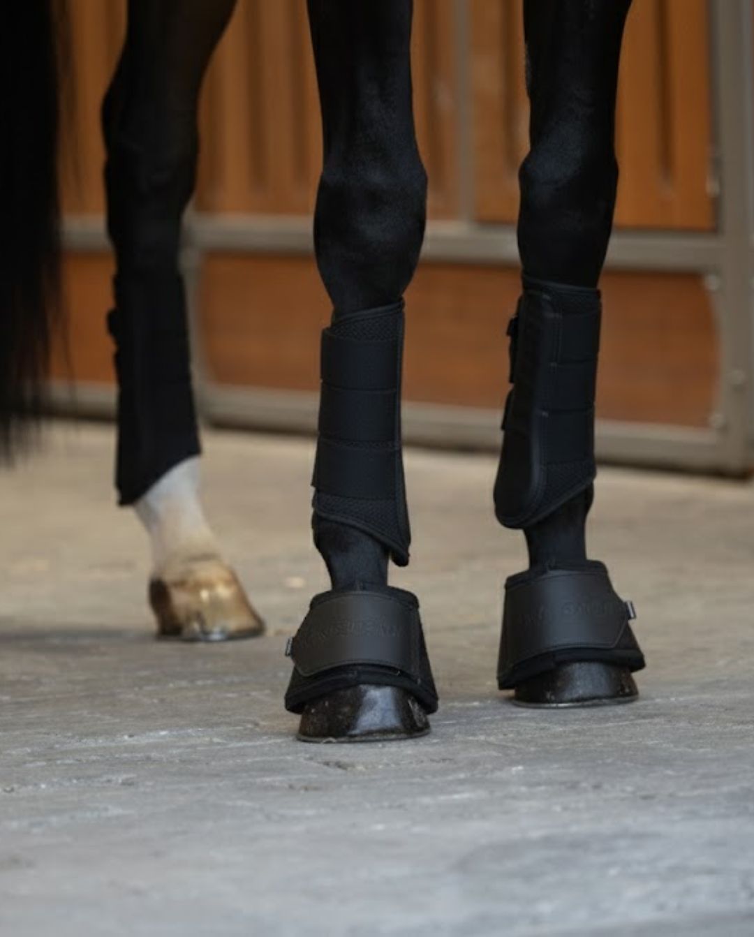 Kingsland »Gamaschen KLLexie Black