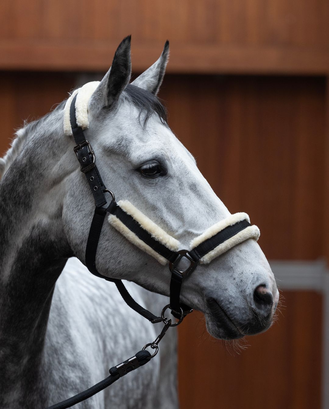 Kingsland »Halfter & Strick Set mit Fell KLLexie Black