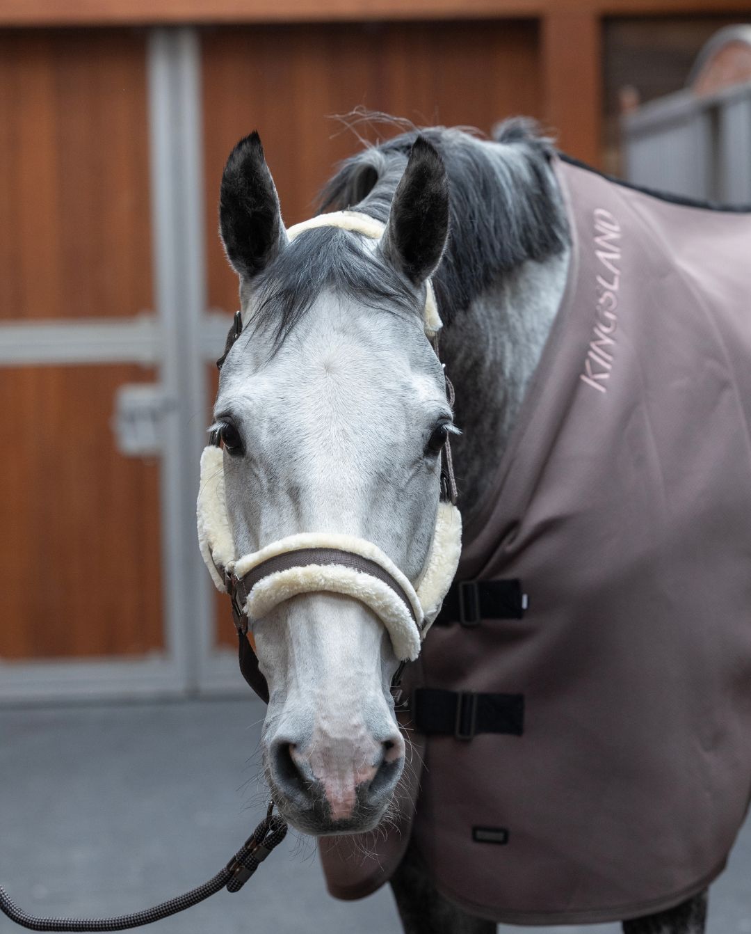 Kingsland »Halfter & Strick Set mit Fell KLLexie Brown Iron