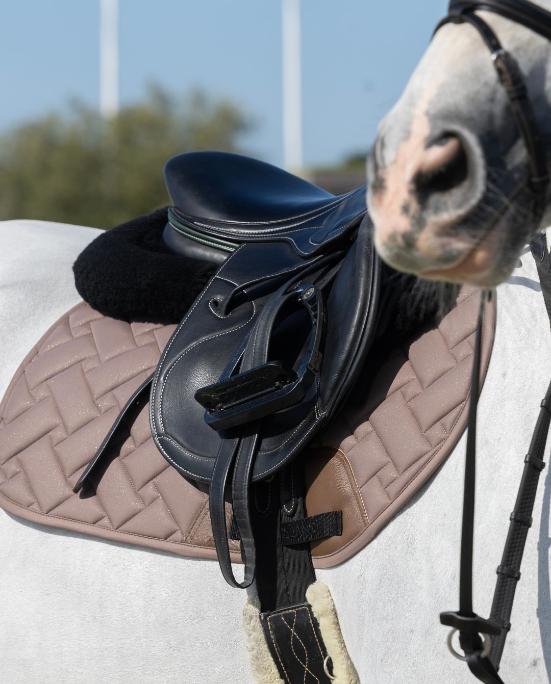 Kingsland »Springschabracke KLLexie Brown Iron