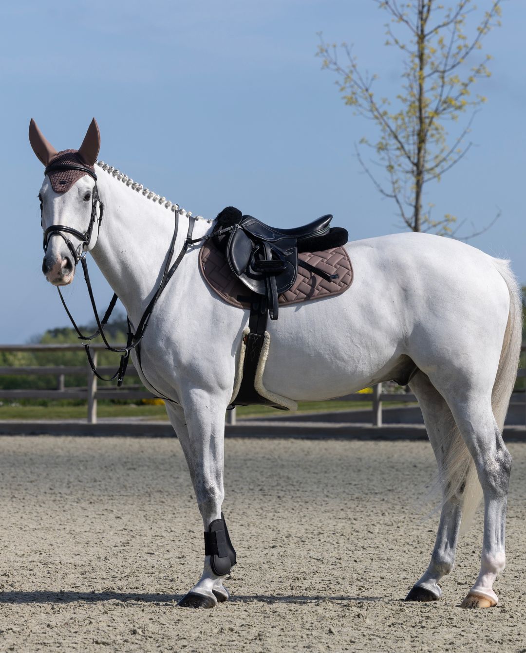 Kingsland »Springschabracke KLLexie Brown Iron