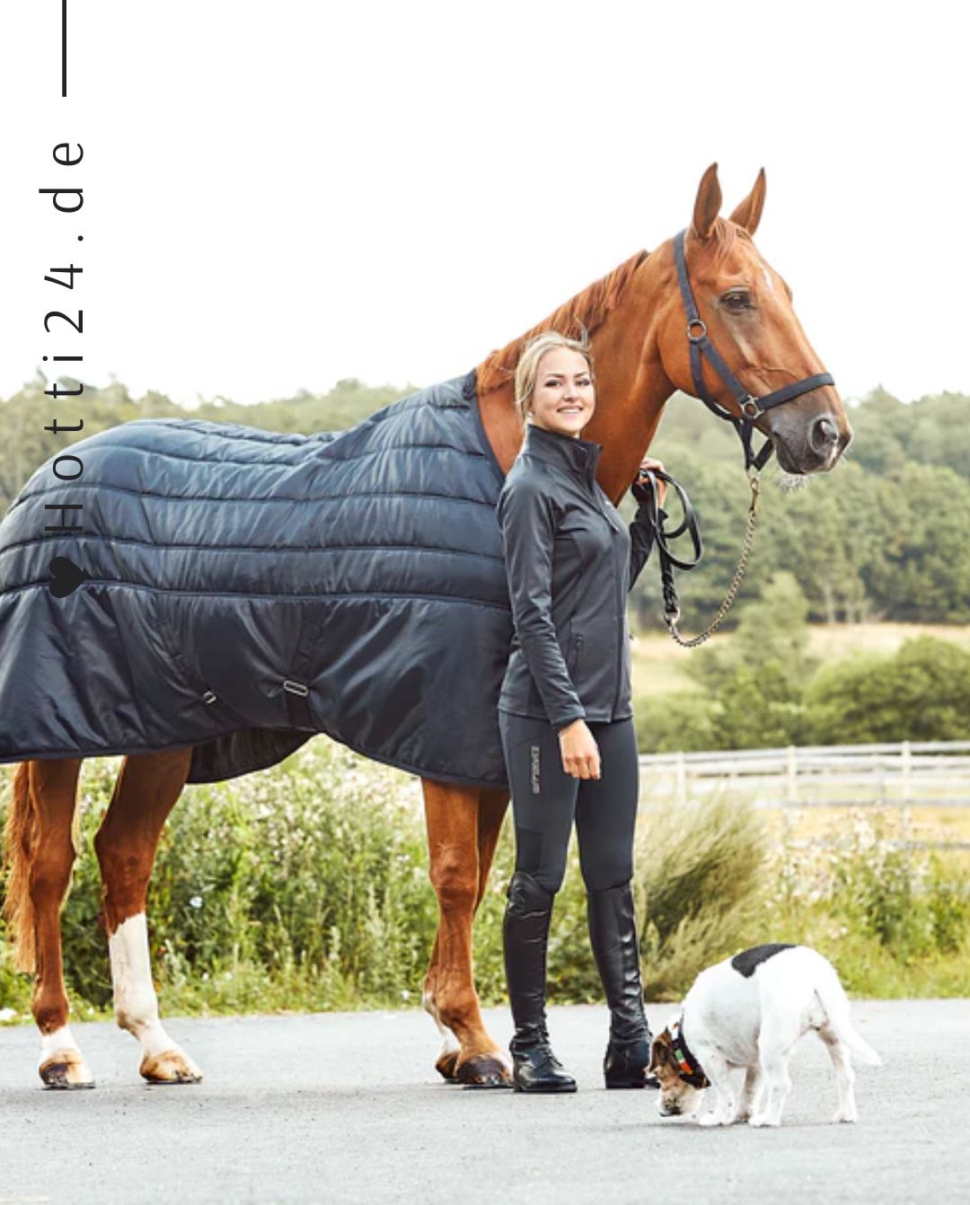 kingsland-stalldecke-1000416783-6020-kaufen-www.hotti24.de