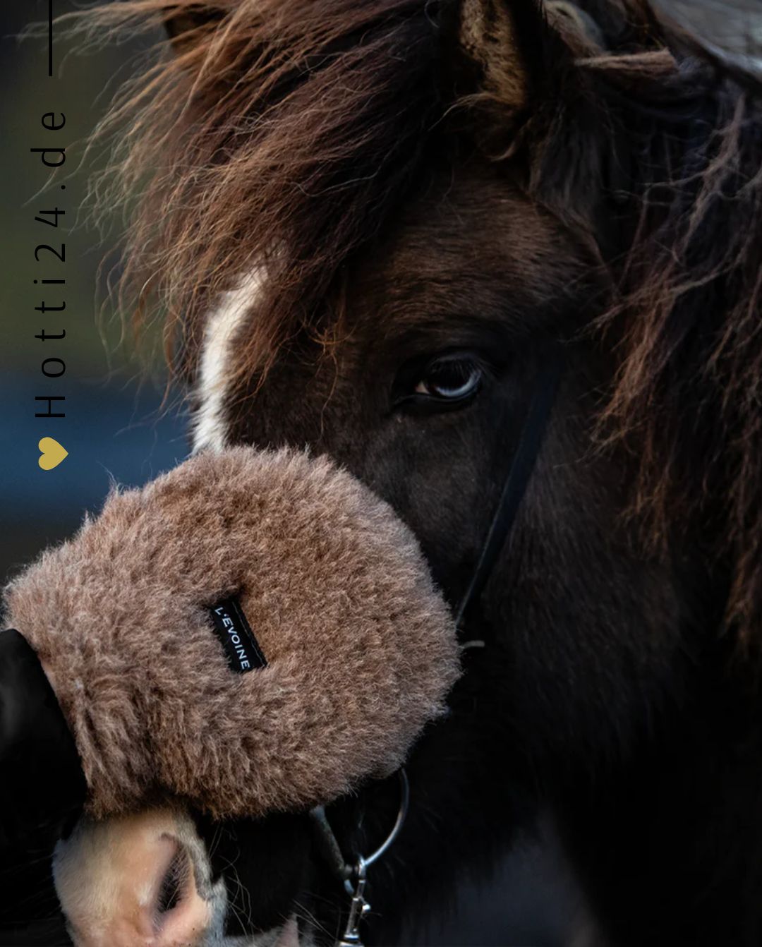 L'Evoine »Pferde Pflegehandschuh Alpaka Vlies Braun, ist aus feinstem, flauschigen Alpaka Vlies gefertigt. Er sorgt nach dem Putzen für eine Extraportion Glanz im Fell des Pferdes und kann zur Reinigung des Pferdekopfes genutzt werden. Artikelnummer 110ap000 erhältlich bei www.Hotti24.de