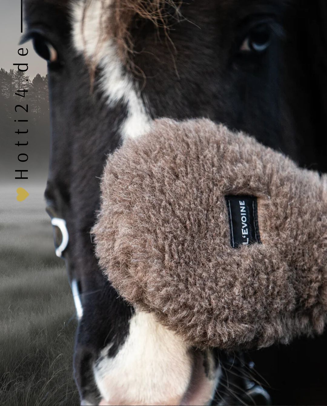 L'Evoine »Pferde Pflegehandschuh Alpaka Vlies Braun, ist aus feinstem, flauschigen Alpaka Vlies gefertigt. Er sorgt nach dem Putzen für eine Extraportion Glanz im Fell des Pferdes und kann zur Reinigung des Pferdekopfes genutzt werden Artikelnummer 110ap000 erhältlich bei www.Hotti24.de