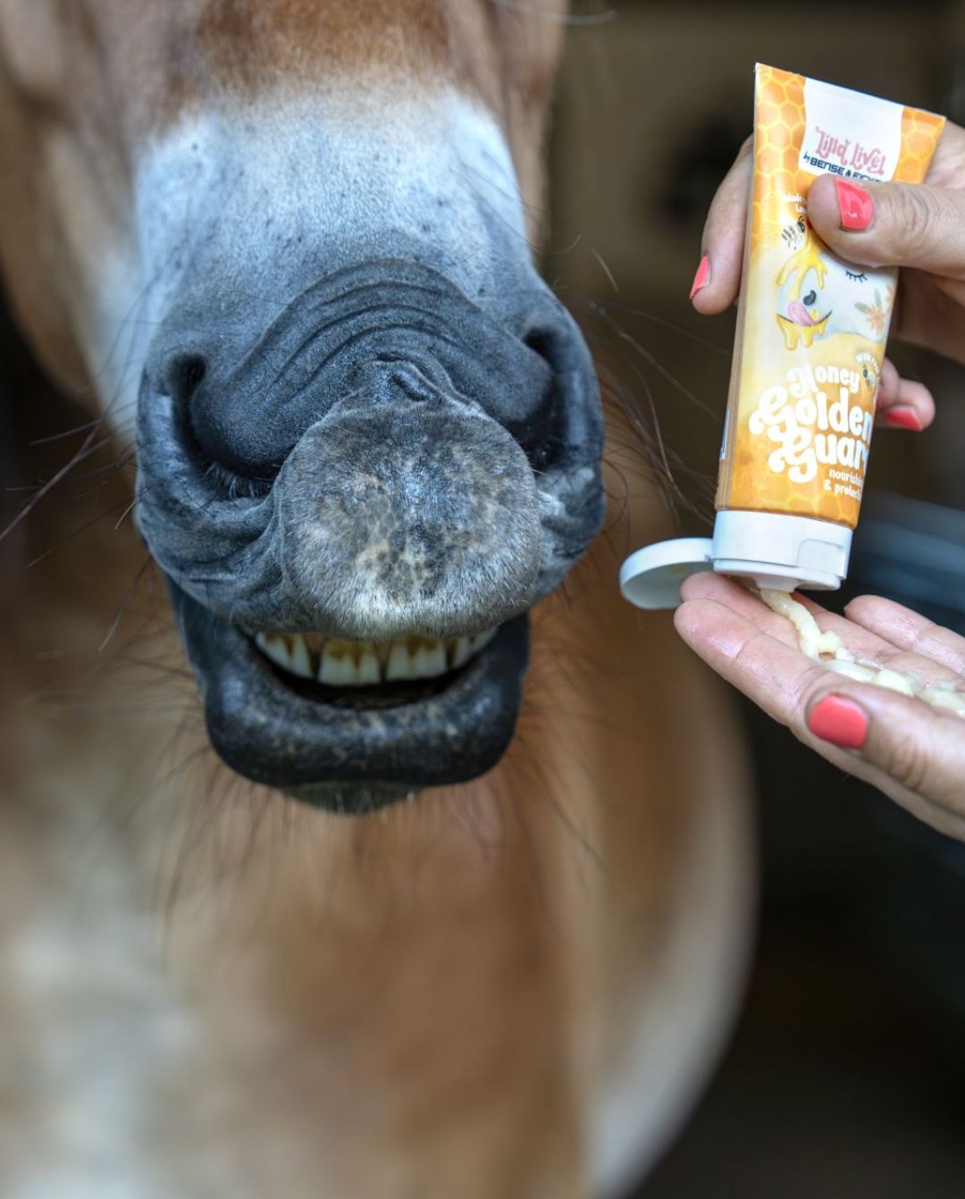 Lilla Livet »Hautschutz Honey Golden Guard 100ml