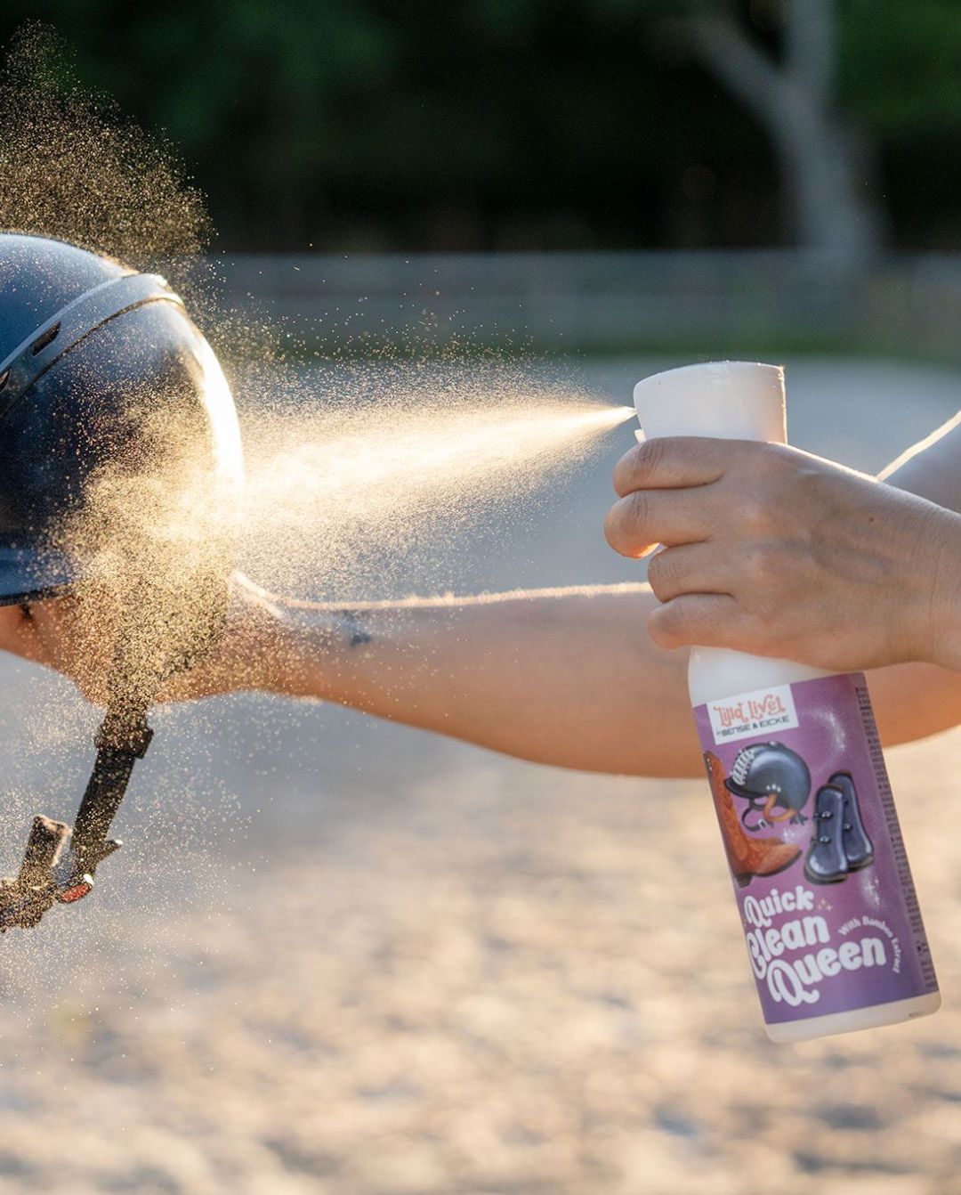 Lilla Livet »Lederreinigung Quick Clean Queen 500ml