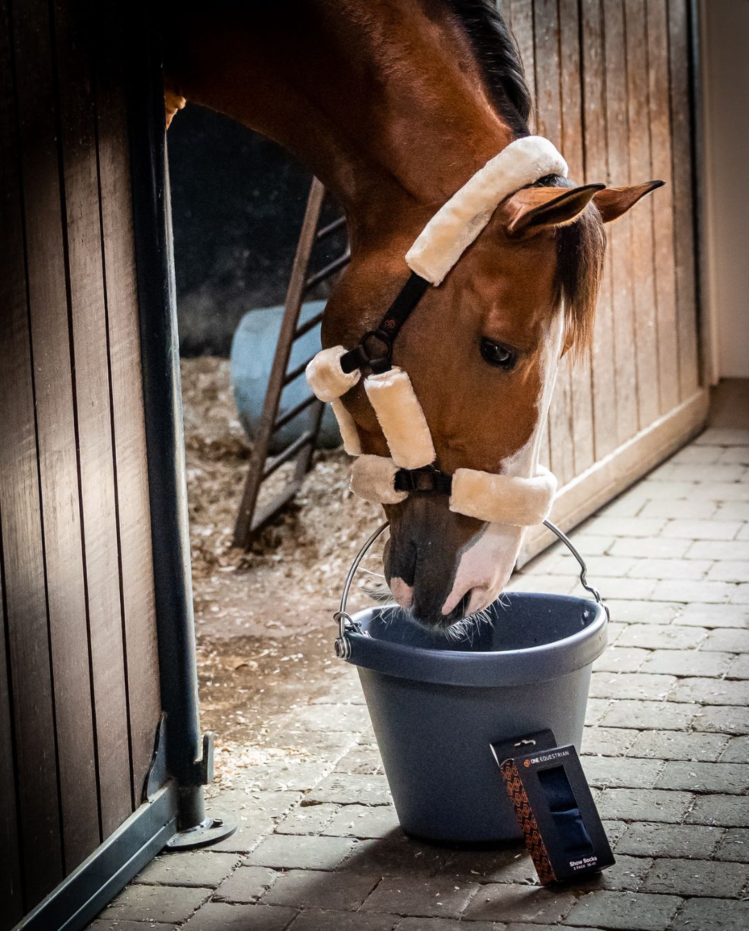 ONE EQUESTRIAN »Eimer One Bucket 18 Liter