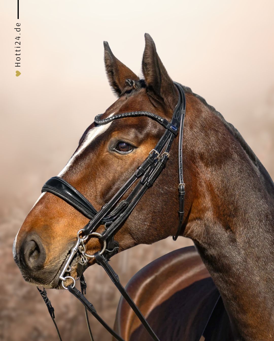 Passier »Kandare Moonlight Lack Black Graphite Crystals