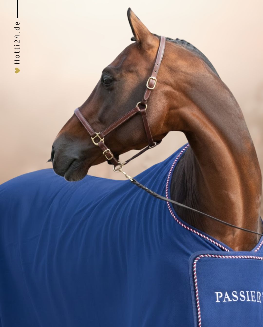 Passier »Leather Headcollar Havanna