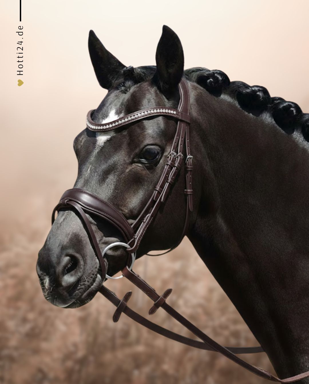 Passier »Trense blu Spirit Havanna Clear Crystals