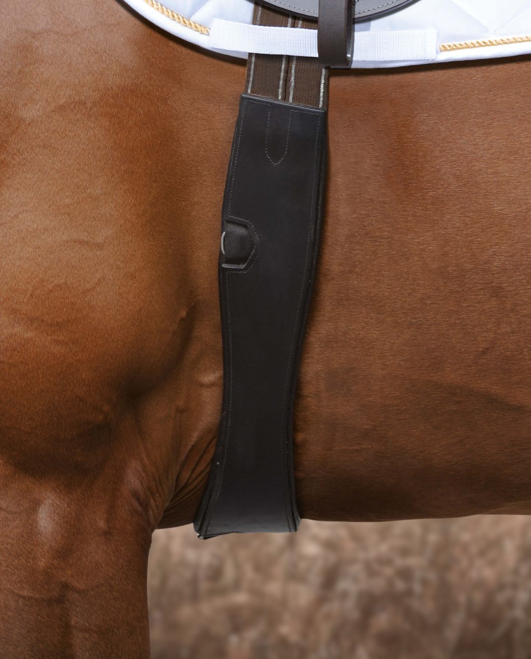 Passier »Sattelgurt geschweift Langgurt Leder Havanna