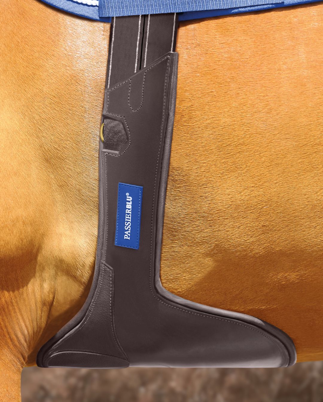 Passier »Passierblu Protect Leather Girth with Stud Guard Long Girth Havana