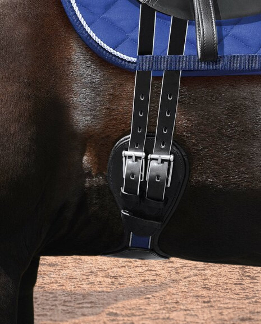 Passier »Girth Passierblu Wave Leather Black