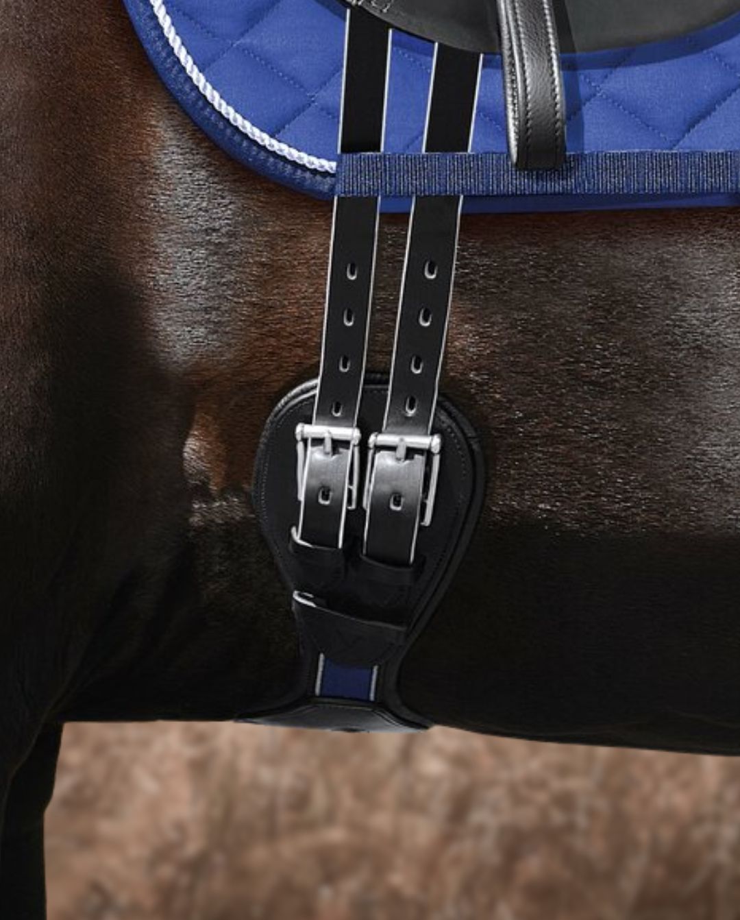 Passier »Sattelgurt Passierblu Wave Kurzgurt Leder Black