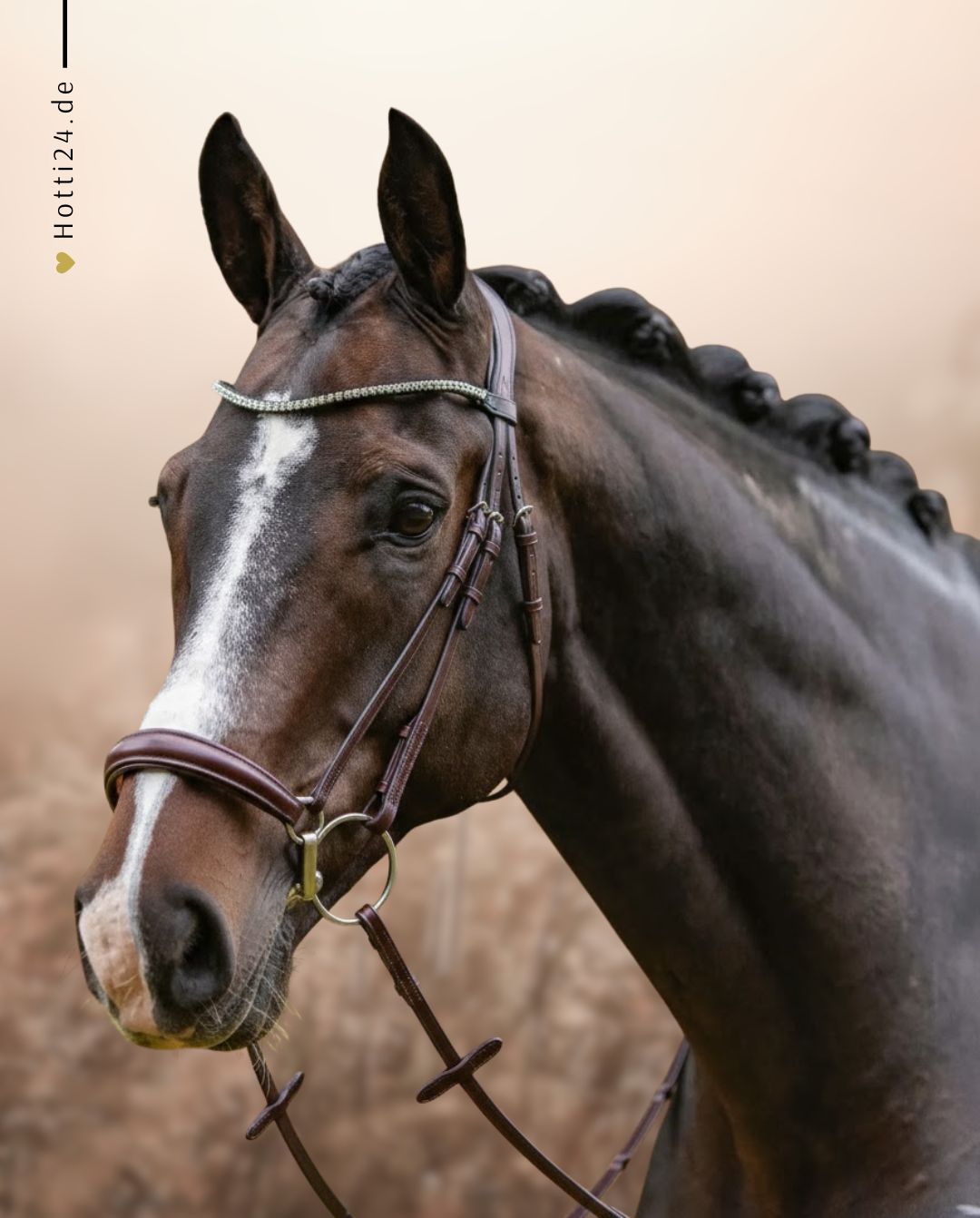 Passier »Trense Confidence Havanna Clear Crystals