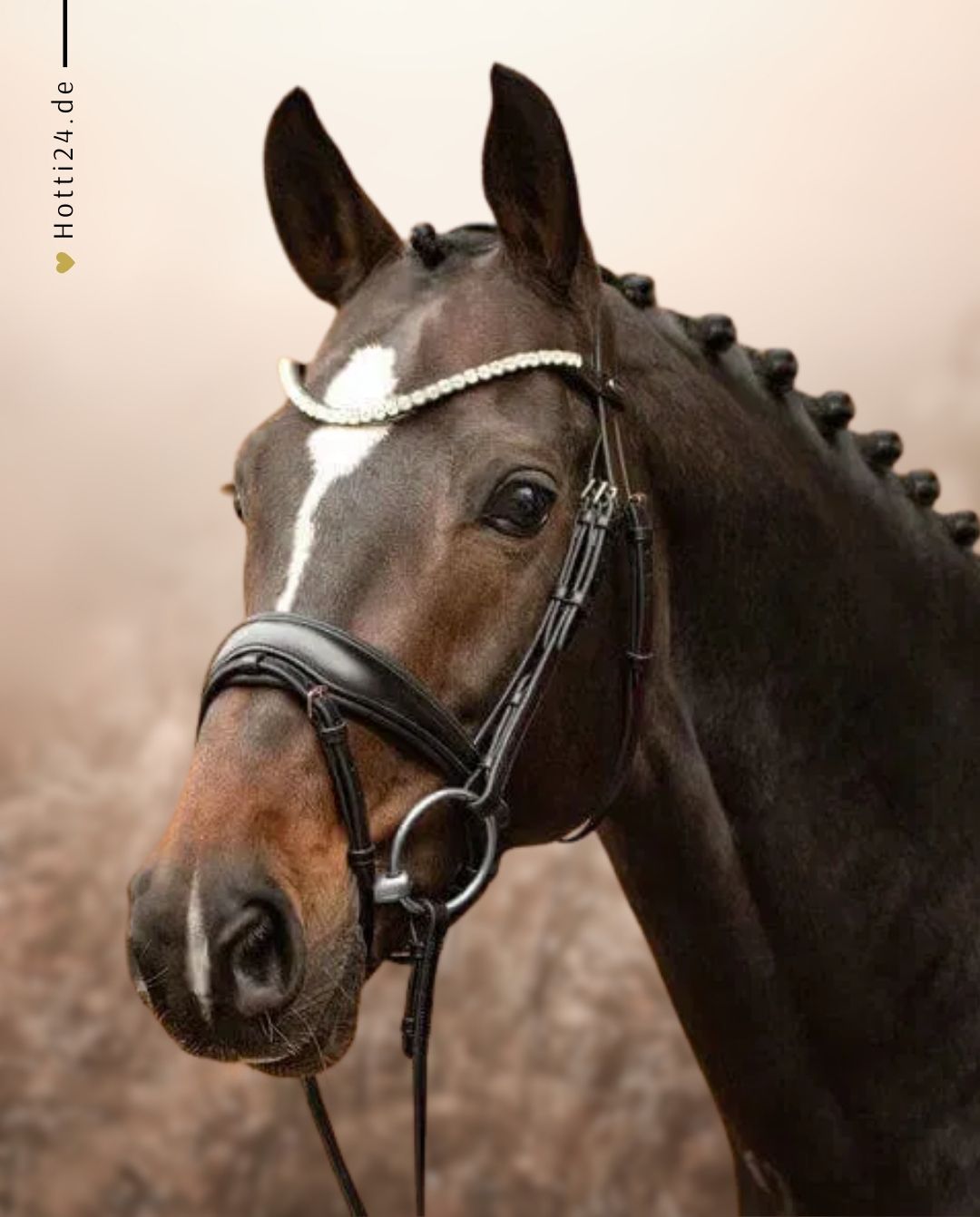 Passier »Trense Favorite powered by Ingrid Klimke Havanna Smoke Topaz