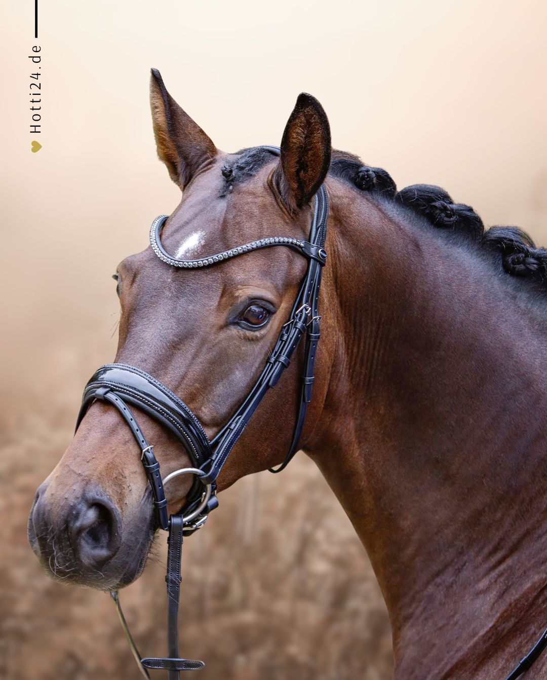 Passier »Trense Shadow Lack Black Graphite Crystals