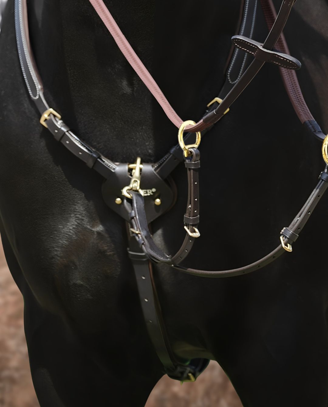 Passier »Vorderzeug Marcus Ehning Black