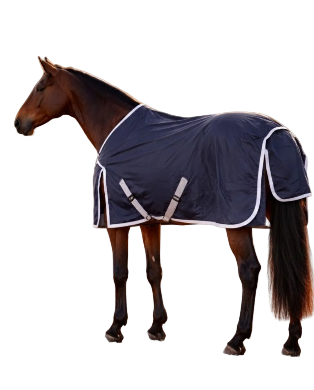 BR Outdoordecke Turnout Rug Navy 0g