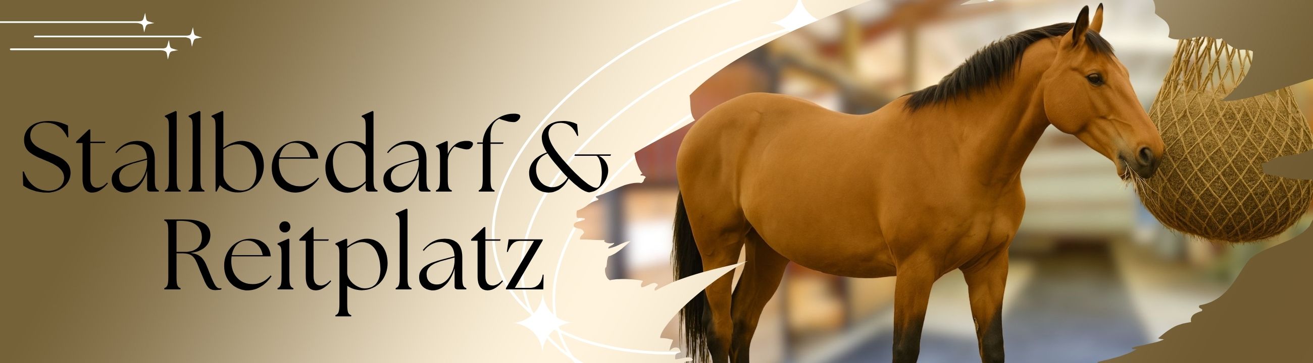 pferde-stallbedarf-reitplatz-banner