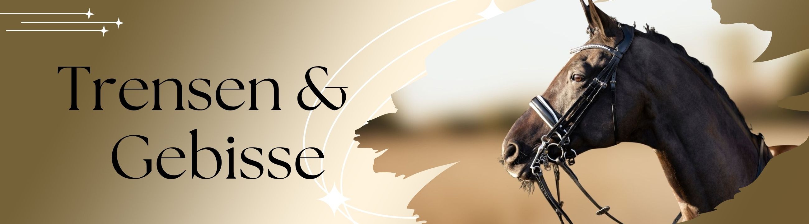 pferde-trensen-gebisse-banner