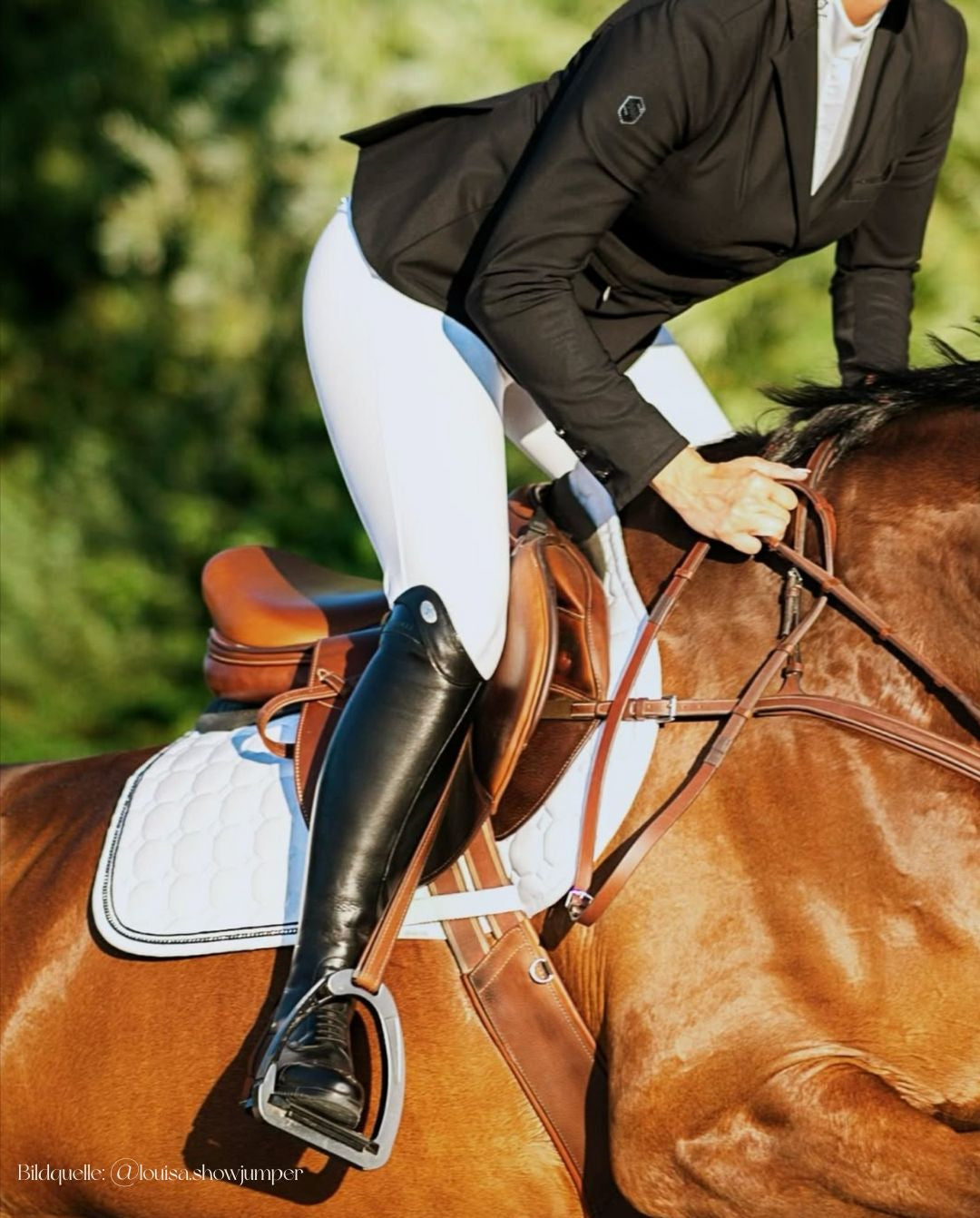 Prevalli »Reitstiefel Tosca Black