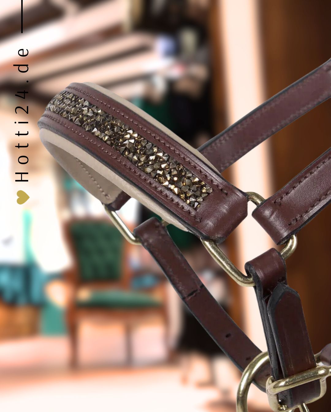 QHP »Fohlen Halfter Leder Lupine Braun