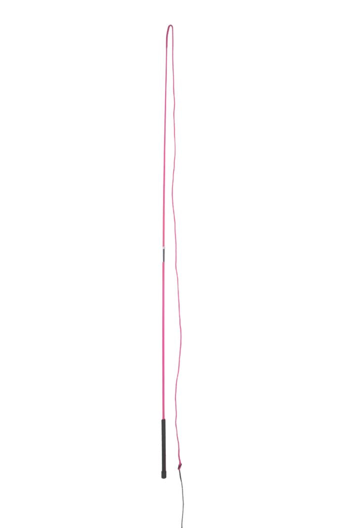 QHP Longierpeitsche teilbar Pink 180 cm