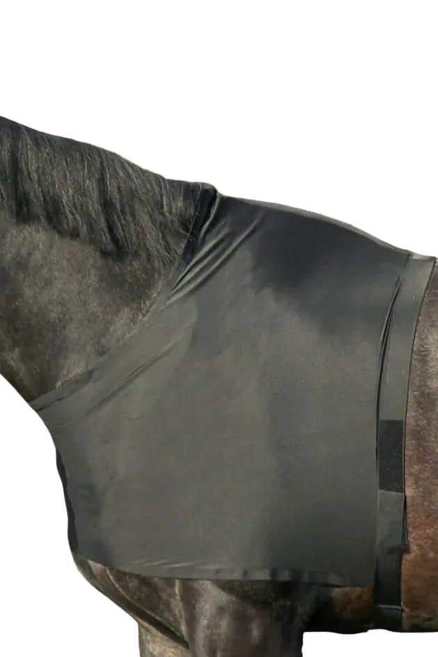 QHP Brustschutz Black