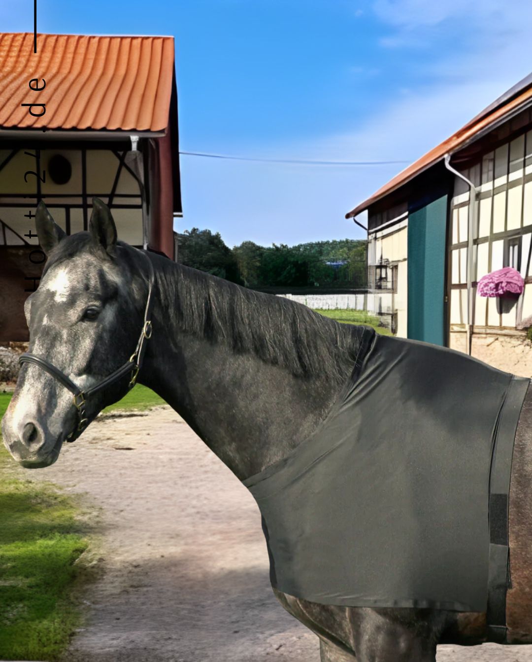 QHP Breastplate Black