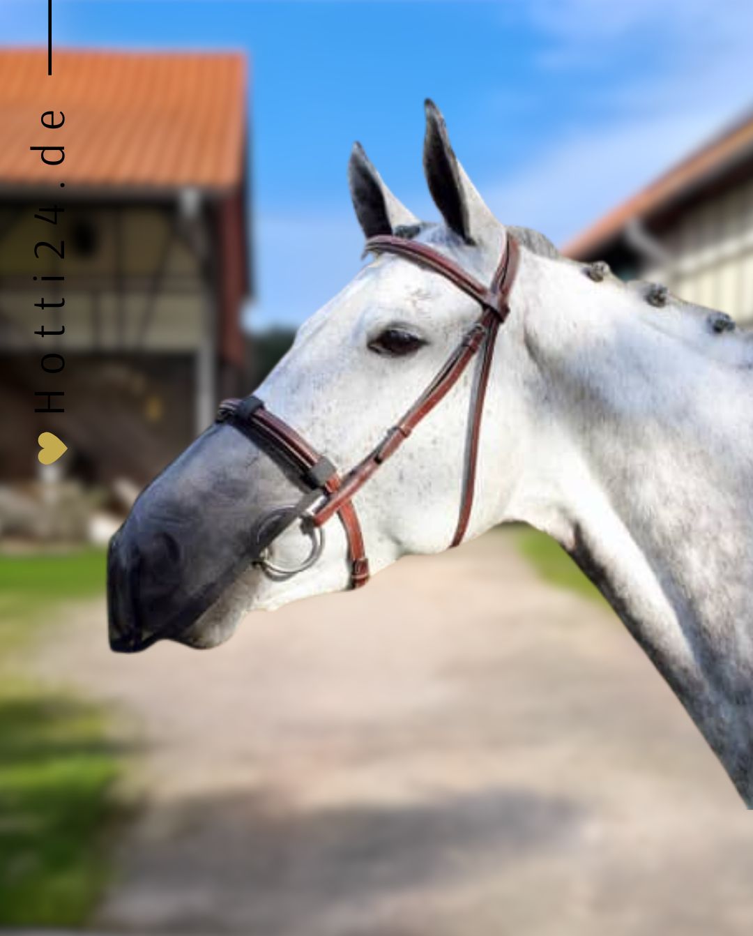 QHP »Fly nose guard
