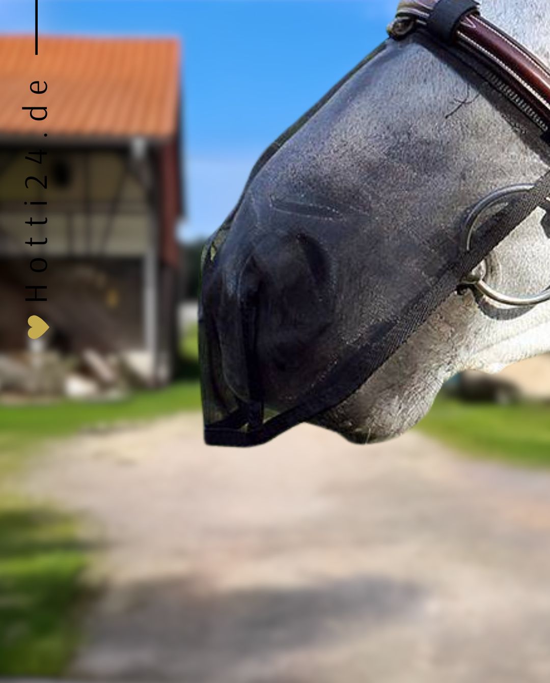 QHP »Fly nose guard