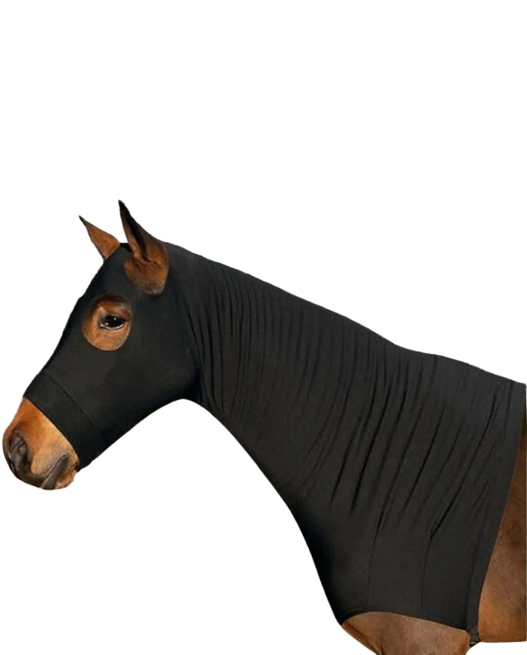 QHP »Halsteil Halsschutz Black