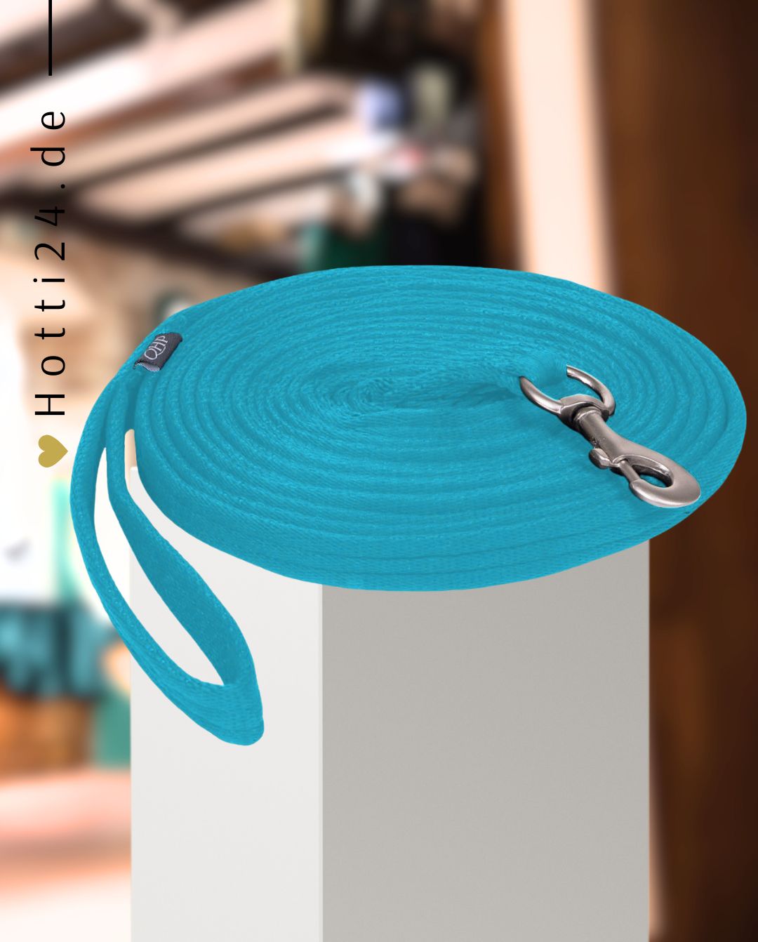 QHP »Longe Longierleine Sky