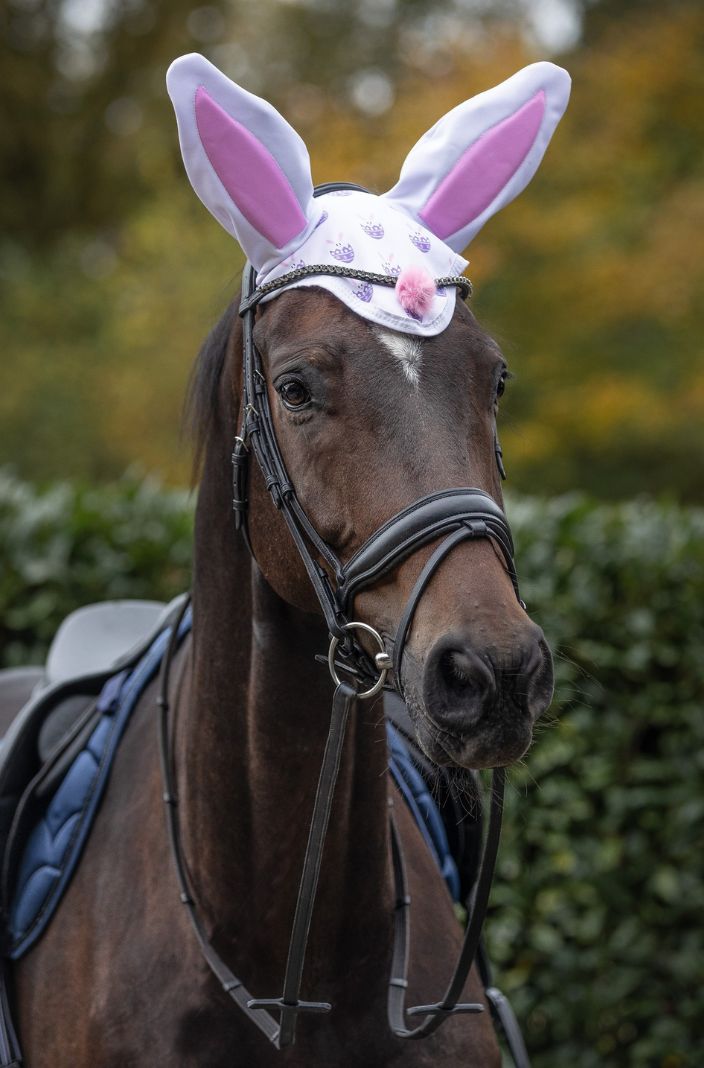 QHP Ohrenhaube Osterhase